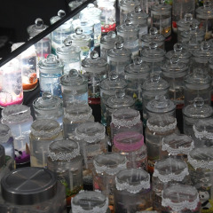 Parnu-Jouluturg-2024-101