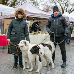 Parnu-Jouluturg-2024-107