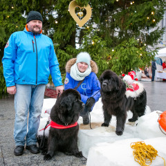 Parnu-Jouluturg-2024-12