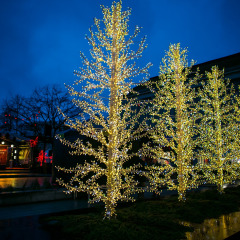 Parnu-Jouluturg-2024-18