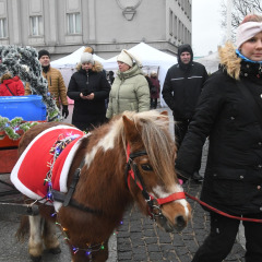 Parnu-Jouluturg-2024-23