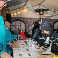 Parnu-Jouluturg-2024-3