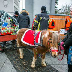 Parnu-Jouluturg-2024-36