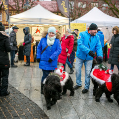 Parnu-Jouluturg-2024-37