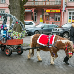 Parnu-Jouluturg-2024-53