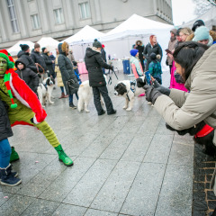 Parnu-Jouluturg-2024-54