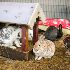 Parnu-Jouluturg-2024-75